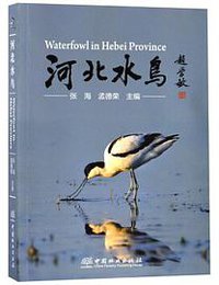 河北水鸟