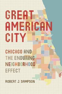 Great American City (University of Chicago Press 2013)