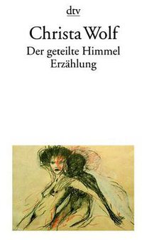 Der geteilte Himmel (Deutscher Taschenbuch Verlag 1973)