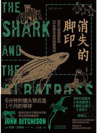 消失的脚印（新版） (2020)