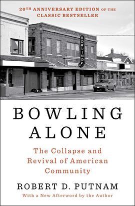 Bowling Alone