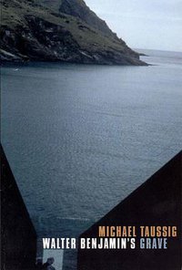 Walter Benjamin’s Grave (University of Chicago Press 2010)