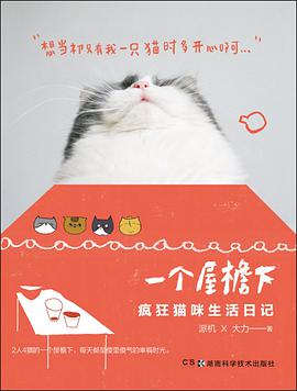 一个屋檐下——疯狂猫咪生活日记