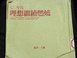 七〇年代：理想继续燃烧