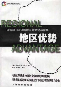 地区优势 (1999)