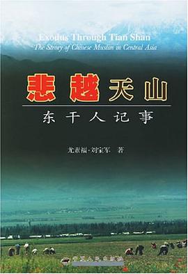 悲越天山