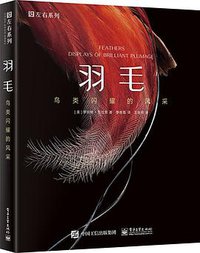 羽毛 (2018)