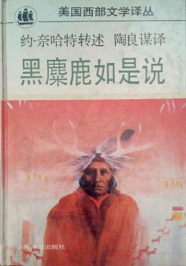 黑麋鹿如是说