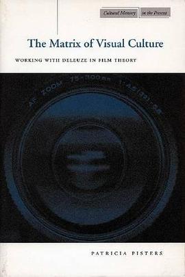 The Matrix of Visual Culture