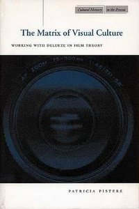 The Matrix of Visual Culture (Stanford University Press 2003)