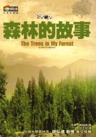 森林的故事
