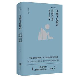 兀鹰飞过城市:宋琳诗选1982—2019