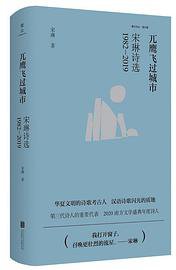 兀鹰飞过城市：宋琳诗选1982—2019