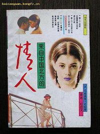 来自中国北方的情人 (1993)