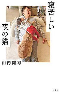 寝苦しい夜の猫