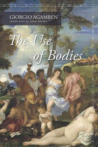 The Use of Bodies (Stanford University Press 2016)