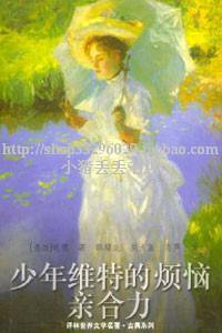 少年维特的烦恼 (2001)