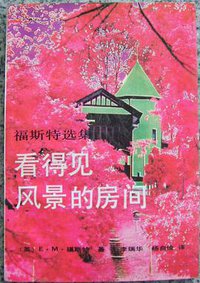 看得见风景的房间 (1992)