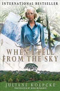 When I Fell from the Sky (Titletown Publishing, LLC 2011)