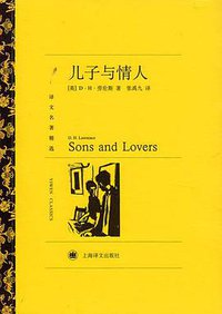 儿子与情人 (2011)