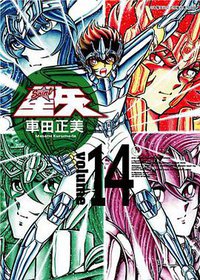 聖鬪士星矢完全版 14 (青文出版社 2010)