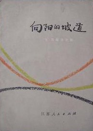 向阳的坡道