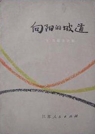 向阳的坡道