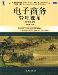电子商务管理视角 (2007)