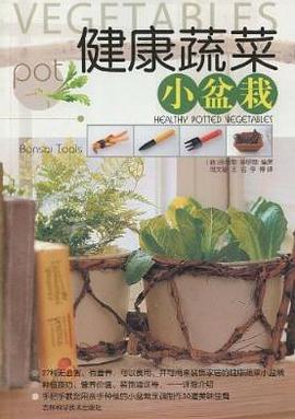 健康蔬菜小盆栽