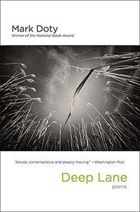 Deep Lane (W. W. Norton & Company 2015)