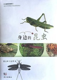 身边的昆虫