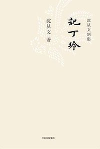 记丁玲 (2017)