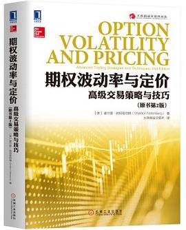 期权波动率与定价：高级交易策略与技巧（原书第2版）