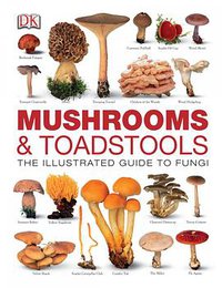 Mushrooms & Toadstools (Dorling Kindersley 2013)