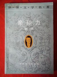 亲和力 (1991)