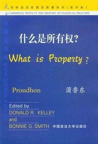 什么是所有权? (2003)