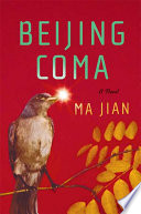 Beijing Coma