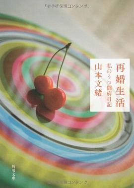 再婚生活 私のうつ闘病日記