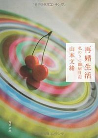 再婚生活 私のうつ闘病日記 (2009)