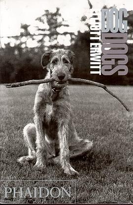 DogDogs