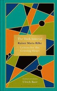 The Dark Interval (Bloomsbury Publishing 2008)