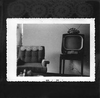 Roger Ebert's Movie Home Companion