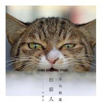 身為職業拍貓人