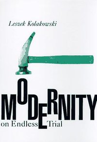 Modernity on Endless Trial (University Of Chicago Press 1997)