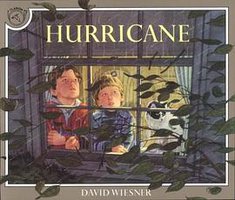 Hurricane (Clarion Books 1992)