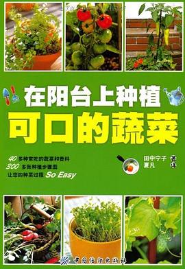 在阳台上种植可口的蔬菜