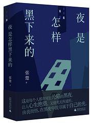夜是怎样黑下来的 (2019)