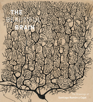 Beautiful Brain: The Drawings of Santiago Ramon y Cajal