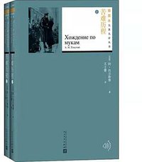 苦难历程 (2021)