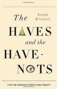 The Haves and the Have-Nots (Basic Books 2011)